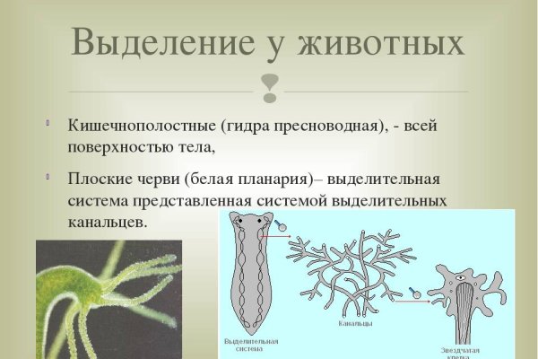 Что продает маркетплейс кракен