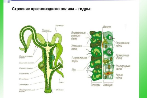 Ссылка на кракен официальный