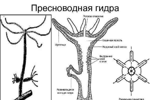 Кракен официальный сайт онион